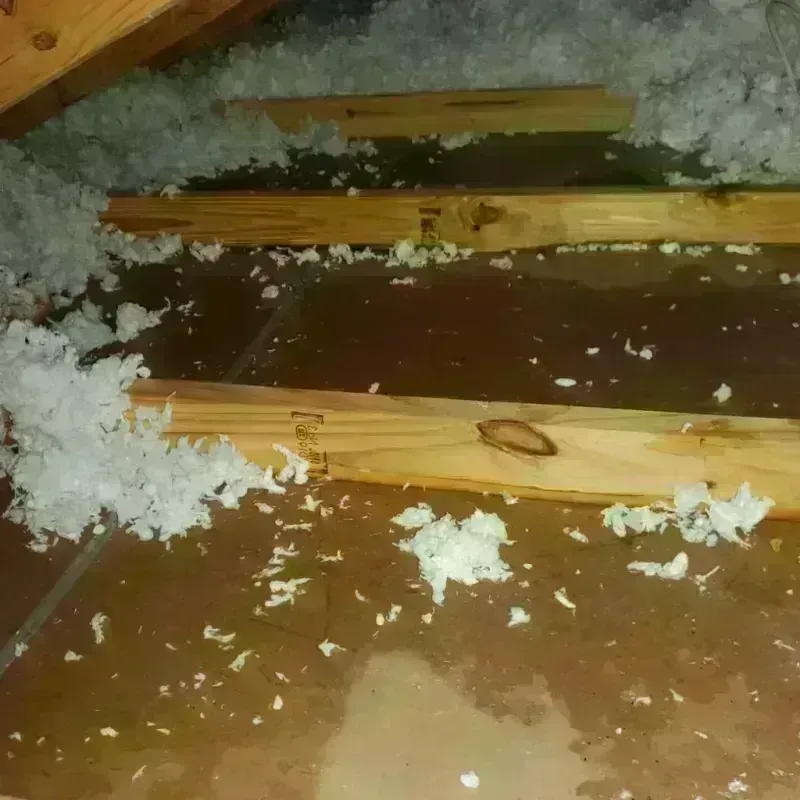 Attic Water Damage in Summerland, CA