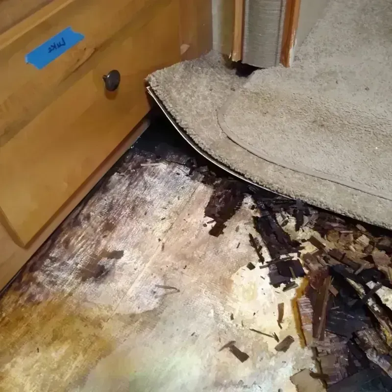 Wood Floor Water Damage in Summerland, CA